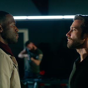 Bilder Jake Gyllenhaal