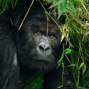 Bilder Unsere wunderbaren Nationalparks