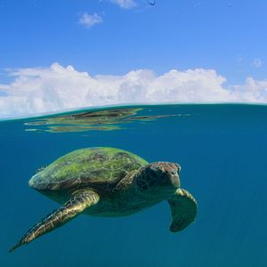 Bilder Unsere wunderbaren Nationalparks