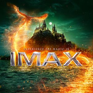 Bilder Phantastische Tierwesen 3: Dumbledores Geheimnisse