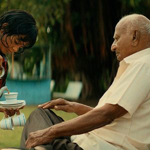 Bilder Das Licht, aus dem die Träume sind