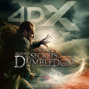 Bilder Phantastische Tierwesen 3: Dumbledores Geheimnisse