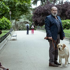 Bilder Antonio Resines