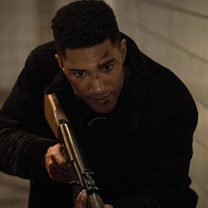 Bilder Carter Redwood