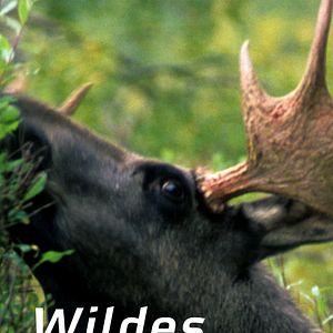 Bilder Wildes Norwegen