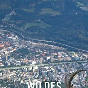 Bilder Wildes Innsbruck