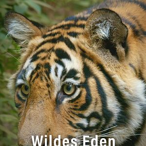 Bilder Wildes Eden: Indien