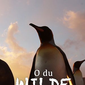 Bilder O du wilde Weihnachtszeit