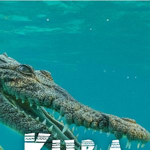 Bilder Kuba - Die wilde Revolution