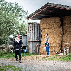 Bilder Rūrangi – Flucht