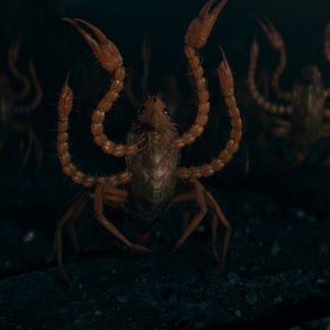 Bilder Phantastische Tierwesen 3: Dumbledores Geheimnisse