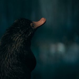 Bilder Phantastische Tierwesen 3: Dumbledores Geheimnisse