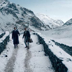 Bilder Callum Turner