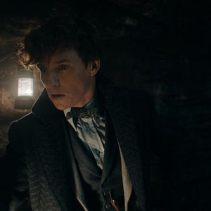 Bilder Phantastische Tierwesen 3: Dumbledores Geheimnisse