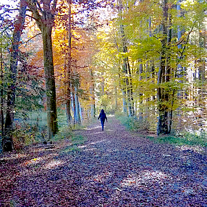 Bilder Mein Daheim im Oberland - Teil 1