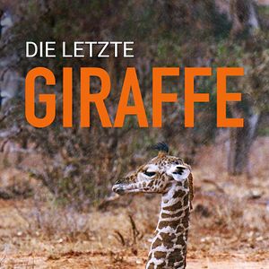Bilder Die letzte Giraffe