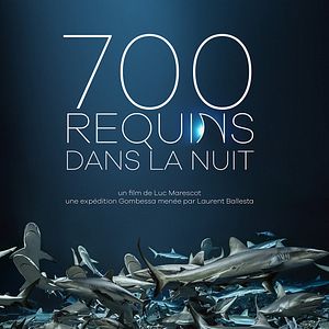 Bilder 700 Haie in der Nacht