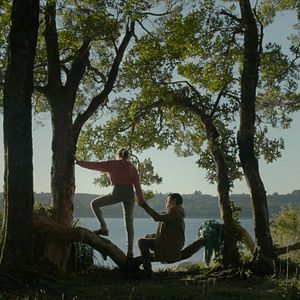 Bilder Algunas bestias