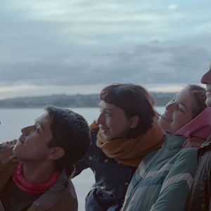 Bilder Algunas bestias