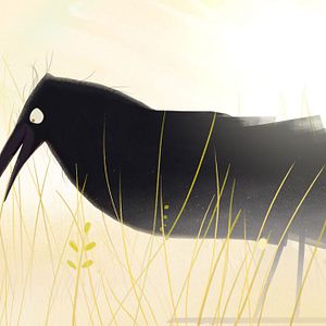 Bilder Yuku und die Blume des Himalaya