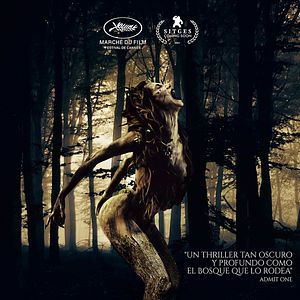 Bilder La Forma del Bosque