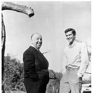 Bilder Alfred Hitchcock