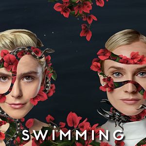 Bilder Swimming With Sharks