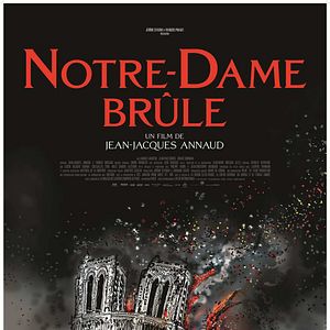 Bilder Notre-Dame in Flammen