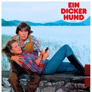 Bilder Ein dicker Hund