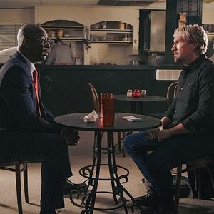 Bilder David A.R. White