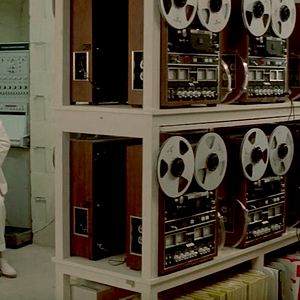 Bilder Der Tag der Delphine