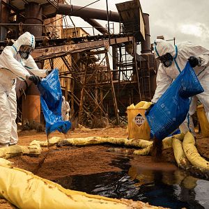 Bilder Naomie Harris