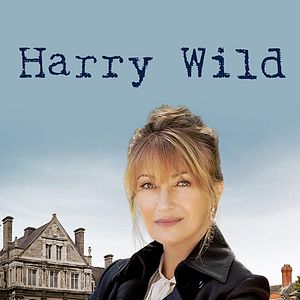 Bilder Harry Wild - Mörderjagd in Dublin