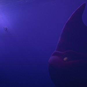 Bilder Das Seeungeheuer