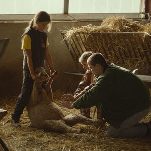 Bilder Jacky Caillou