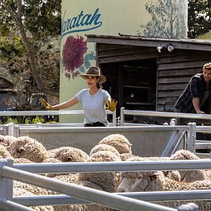 Bilder A Perfect Pairing