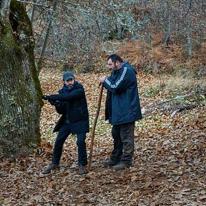 Bilder Wie wilde Tiere