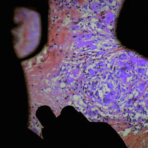 Bilder De Humani Corporis Fabrica