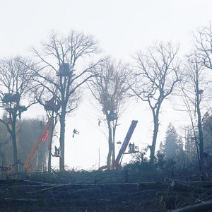 Bilder Die Autobahn - Kampf um die A 49