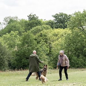 Bilder Mit Herz und Hund