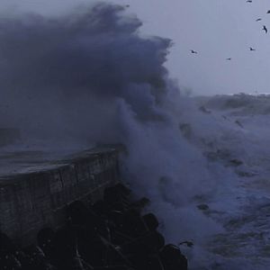 Bilder Nordlicht - Der Nordsee Film