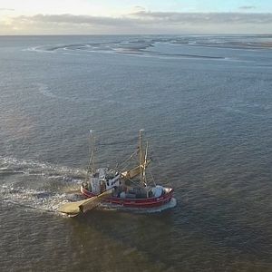 Bilder Nordlicht - Der Nordsee Film