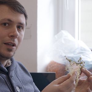 Bilder Nordlicht - Der Nordsee Film