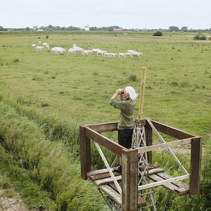 Bilder Nordlicht - Der Nordsee Film