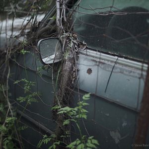 Bilder Texas Trip: A Carnival Of Ghosts