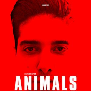 Bilder Animals - Wie wilde Tiere