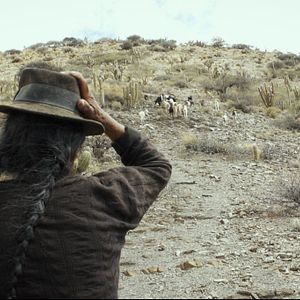 Bilder Mein fremdes Land