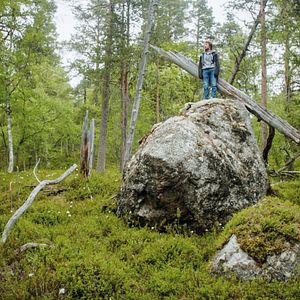 Bilder Tics - Mit Tourette nach Lappland