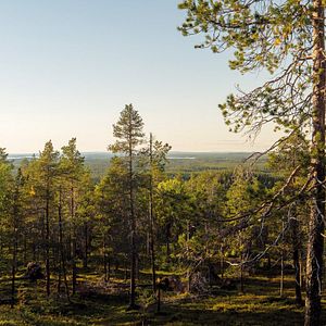 Bilder Tics - Mit Tourette nach Lappland