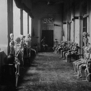 Bilder Der Konkurrent